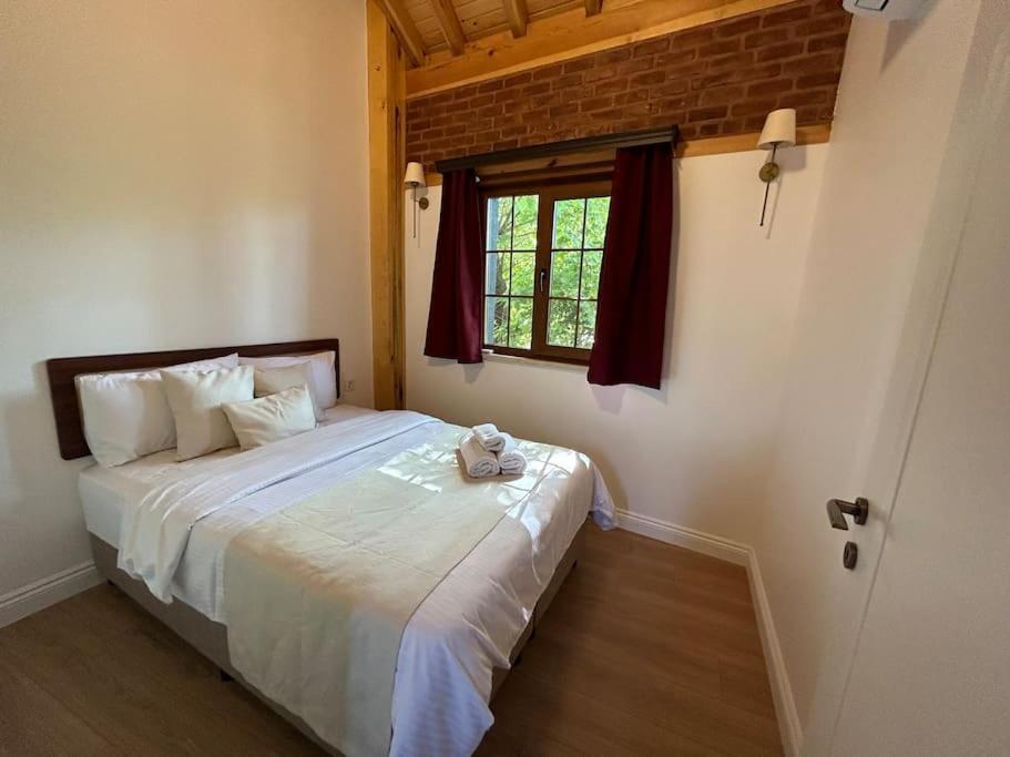 Arancia - Garden, Bbq, Sauna & Turkish Bath By The Tram In Fatih Vilă Istanbul